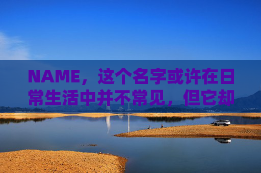 NAME，这个名字或许在日常生活中并不常见，但它却在某些领域里扮演着重要的角色。今天，让我们一起来探索这个名字背后的故事和意义